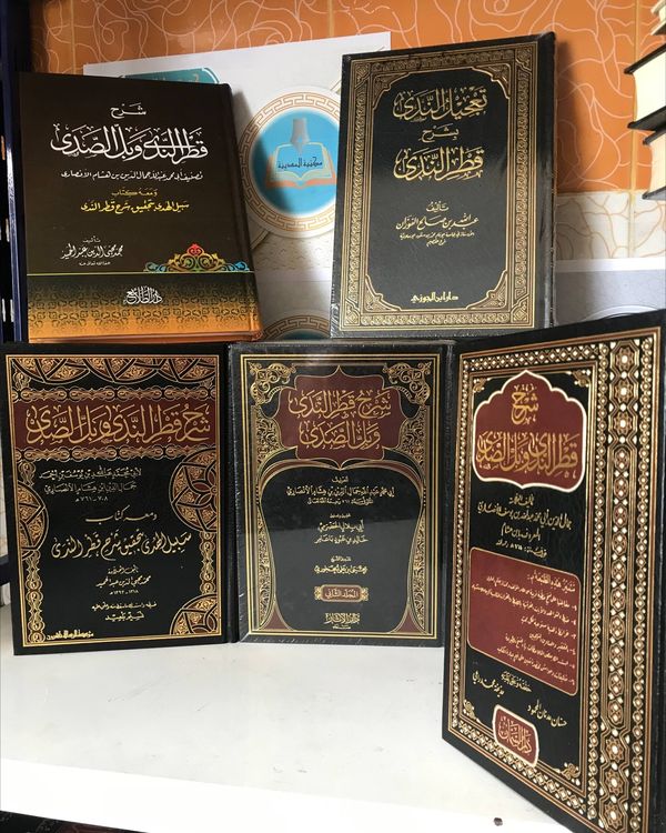 شرح قطر الندى وبل الصدى